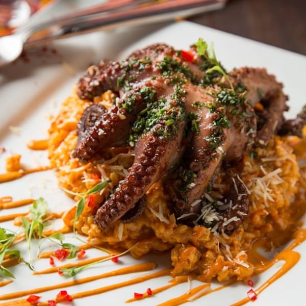 Peruvian grilled octopus with green herbs and red pepper flakes, served over orange risotto.